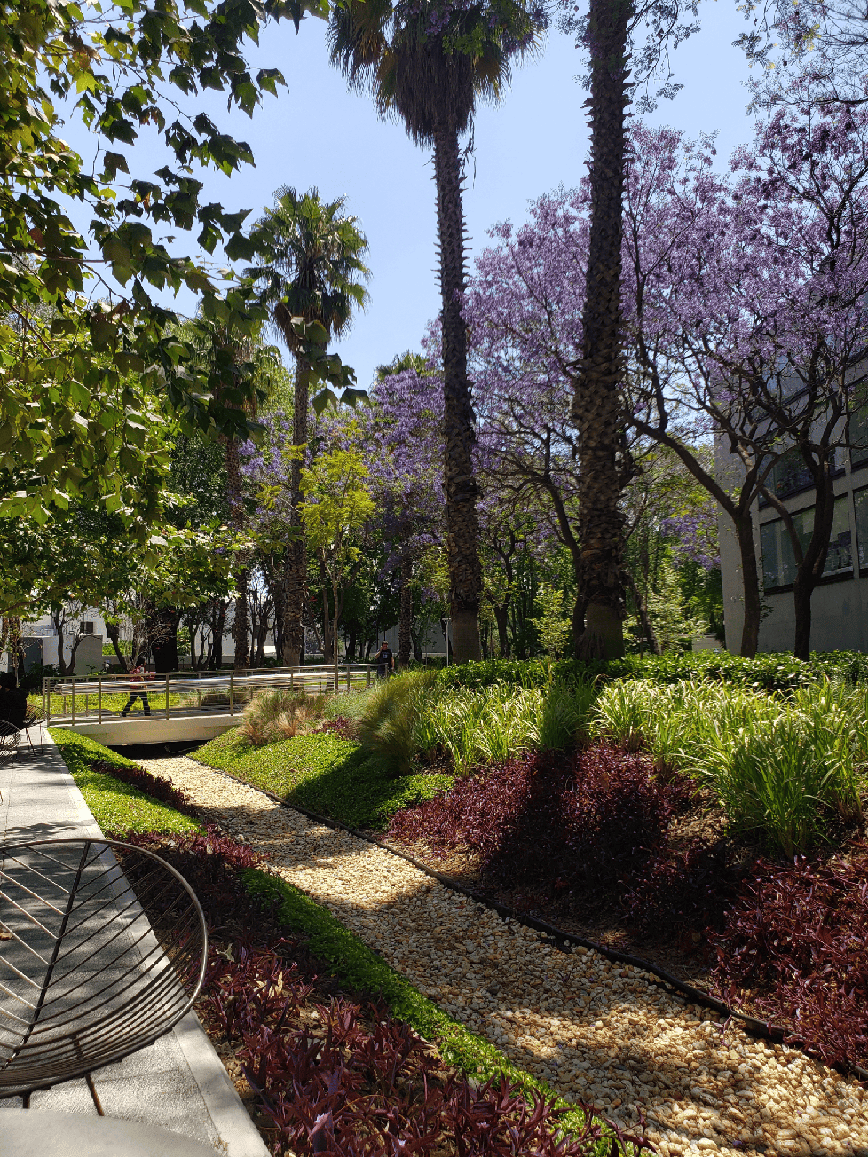 Austauschsemester und Arbeiten in Mexico