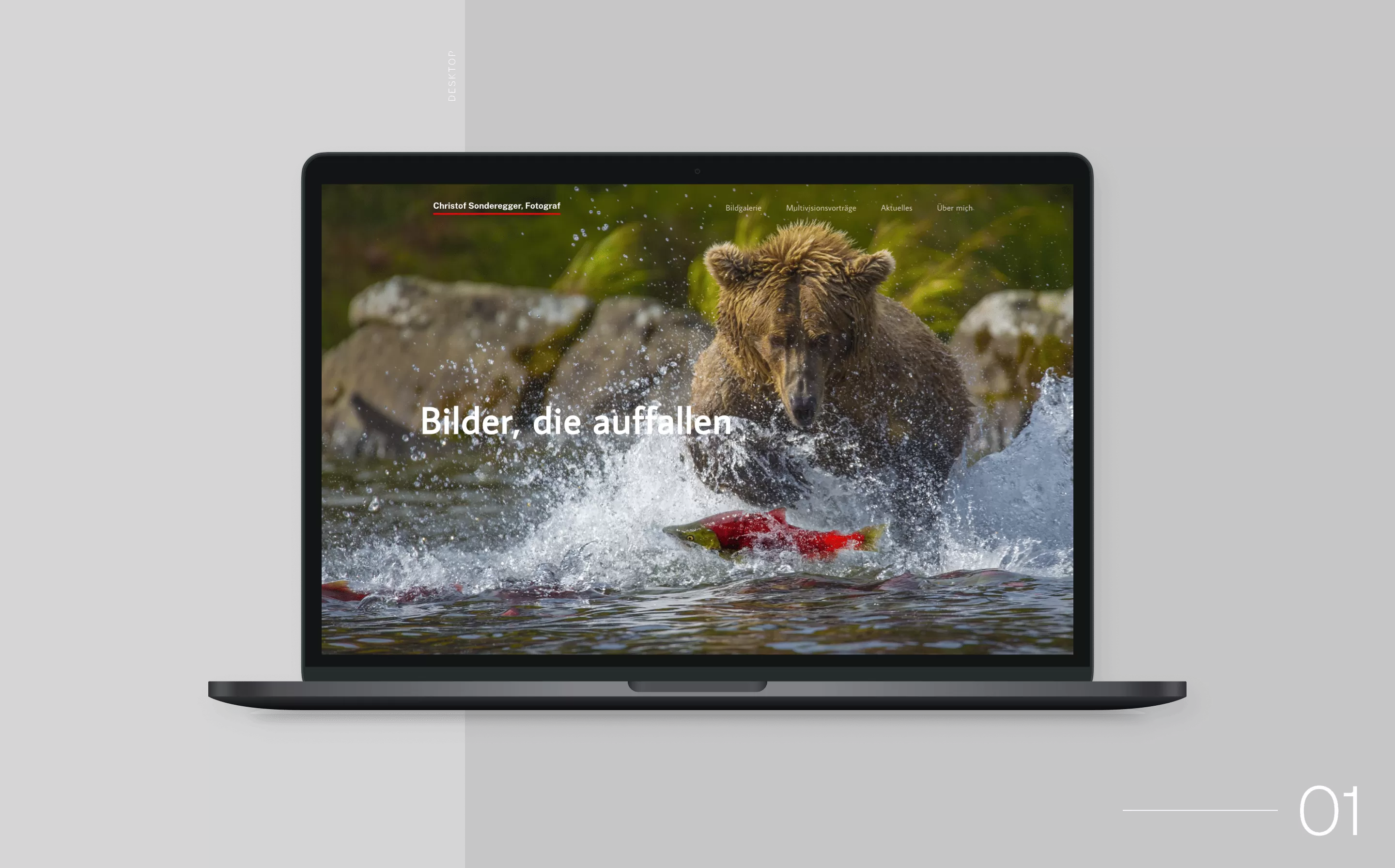 Vorschaubild einer Produkt-Einzelseite auf Notebook